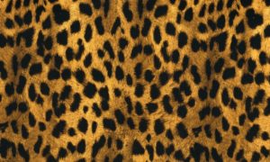 Cheetah Print AP-033