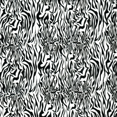 Zebra Print Small Film-AP-821