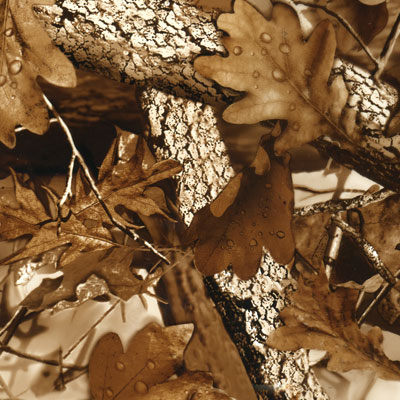 Fall Leaves Brown Film-HC-2-13