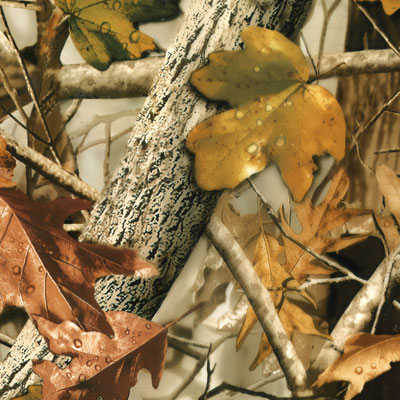 New Fall Leaves Orange Film-HC-243