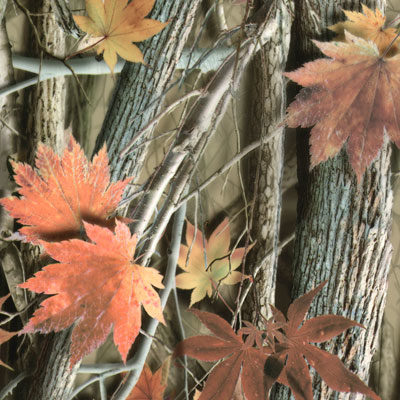 Orange Leaf Film-HC-252