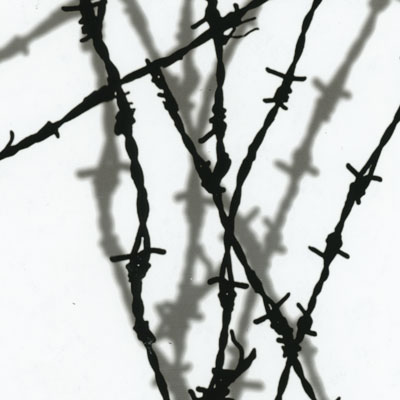 Shadow Barbed Wire Film-LL-209